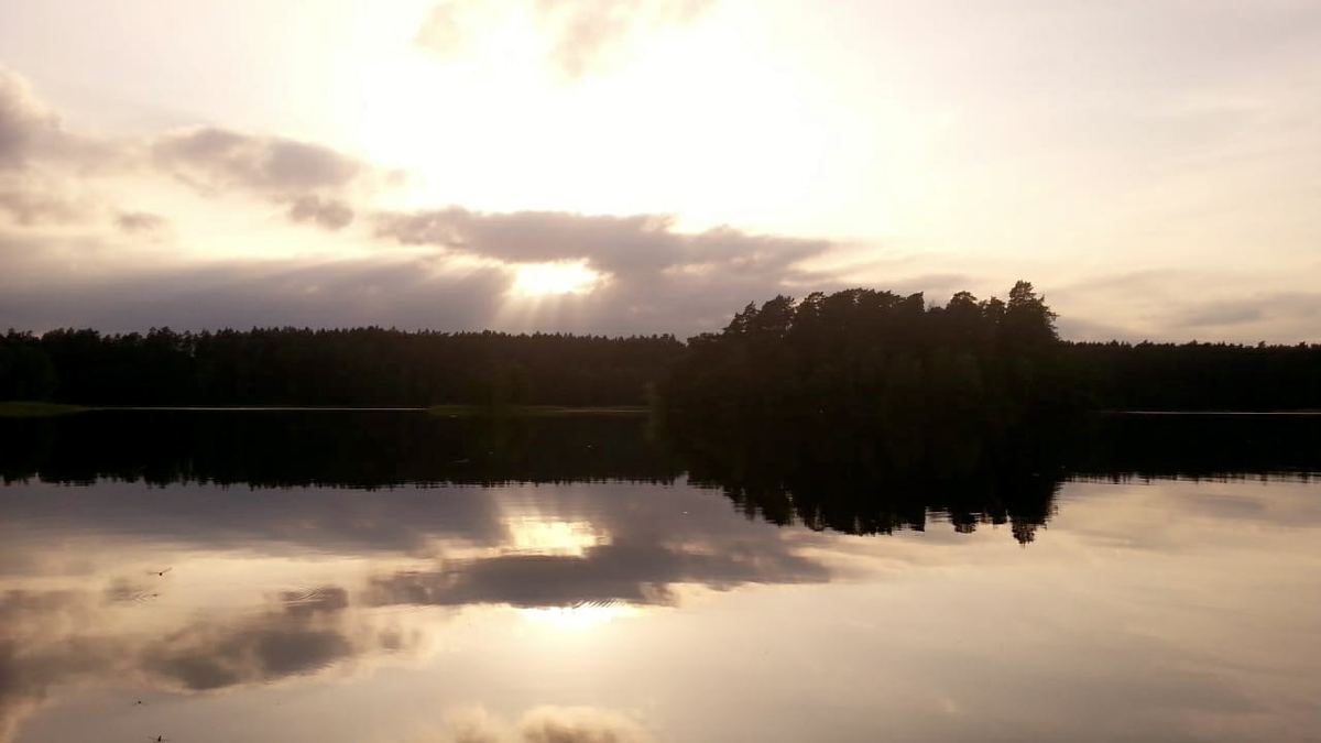 Stiller See im Abendlicht, am anderen Ufer ein dunkler Waldstreifen